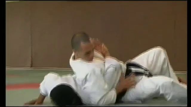 Hapkido By Philippe Pinerd