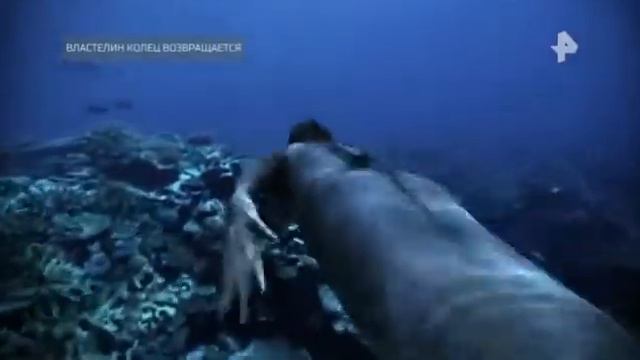 ТАЙНЫ ЧАПМАН 11 09 2020 смотреть онлайн