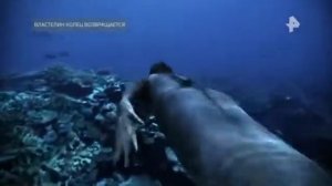 ТАЙНЫ ЧАПМАН 11 09 2020