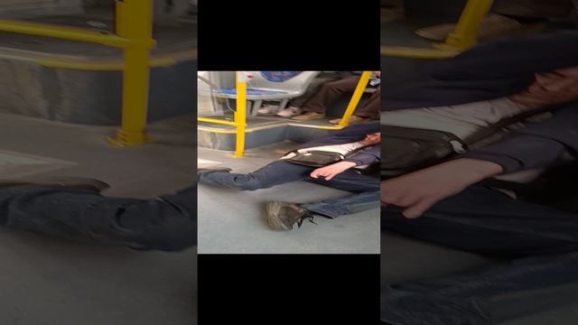 1 мая Троллейбус 1. Зачем так пить? смотреть онлайн