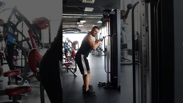 Разгибание рук в тренажёре прямой рукоятью смотреть онлайн