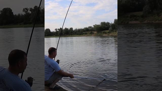 InShot_20230727_195018444.mp4 смотреть онлайн