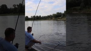 InShot_20230727_195018444.mp4