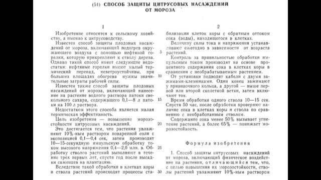 Электро цитрус смотреть онлайн