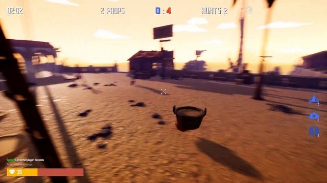 Peekaboo Is A Weird Prophunt Game
