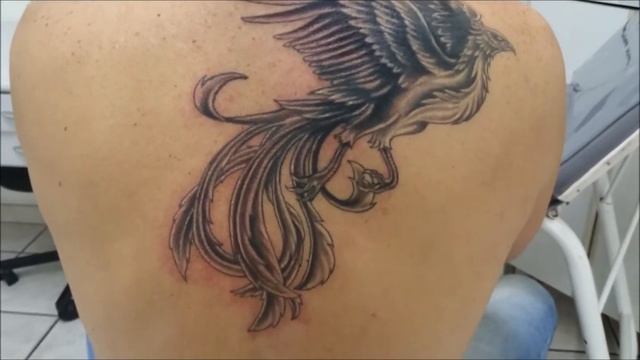 Fenix Tattoo cover up смотреть онлайн