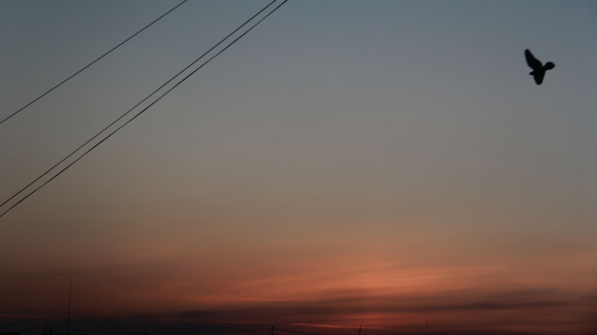 Новый Старт!