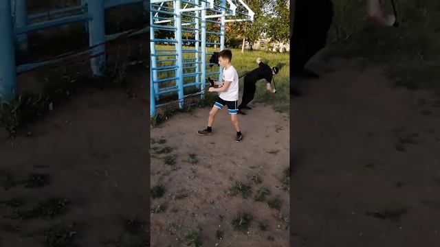 26 мая 2020 г. смотреть онлайн