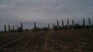 КОПАЕМ ПО СКИФСКИМ МЕСТАМ