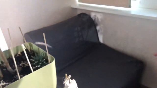 Сын маминой подруги смотреть онлайн