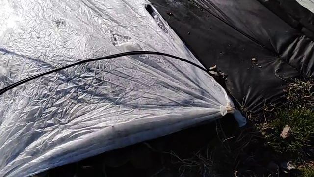 #КЛУБНИКА. КАК УКРЫТЬ КЛУБНИКУ НА ЗИМУ смотреть онлайн