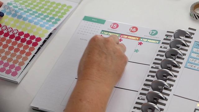 Plan With Me! // Feat: Stephanie Fleming! смотреть онлайн