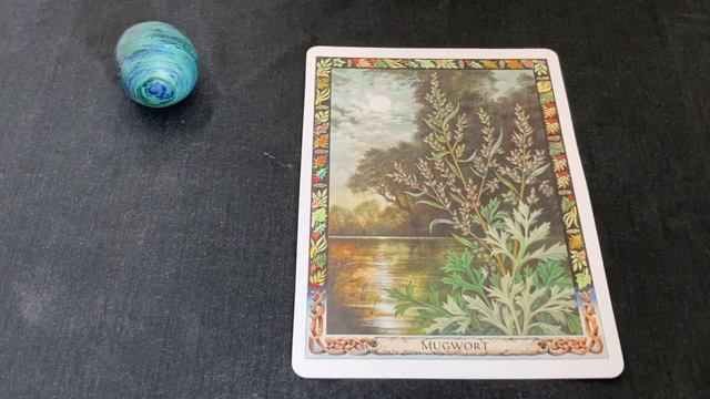 Pick A Card: Weekly Oracle Card Guidance | Druid Plant Oracle смотреть онлайн