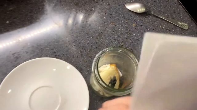 Как вырастить плесень смотреть онлайн