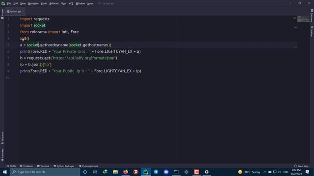 How To Get Your IP Address ? (Public & Private) PYTHON смотреть онлайн
