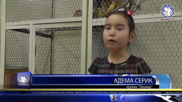 Мероприятие ко дню домашних животных в кружке Экомир ноябрь 2014 смотреть онлайн