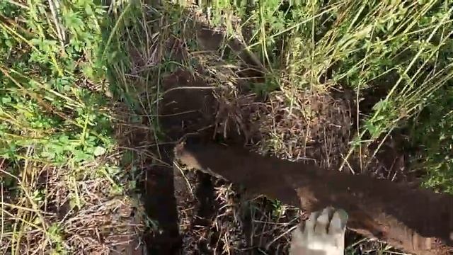 МЕТАЛЛО КОП на 1 сентября! смотреть онлайн