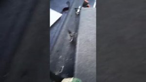 Как снять спинку сидений Шкода Октавия Тур