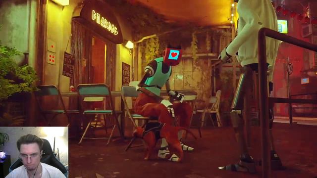 Stray - Потерялся кот, если найдёте пишите [2] смотреть онлайн