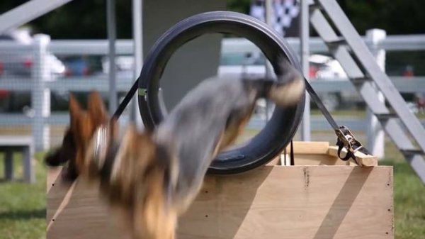 DREAM RIDE POLICE K 9 CHALLENGE revised APRIL 2