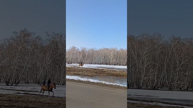 Паводок весна 2024 год