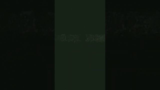 на меня напала сербская леди смотреть онлайн