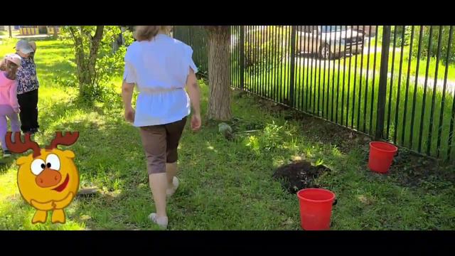 посадили сирень 2024 смотреть онлайн