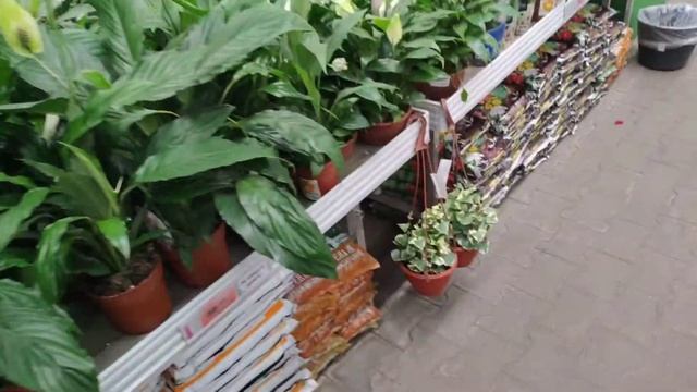 обзор растений оби химки (2021_01) смотреть онлайн