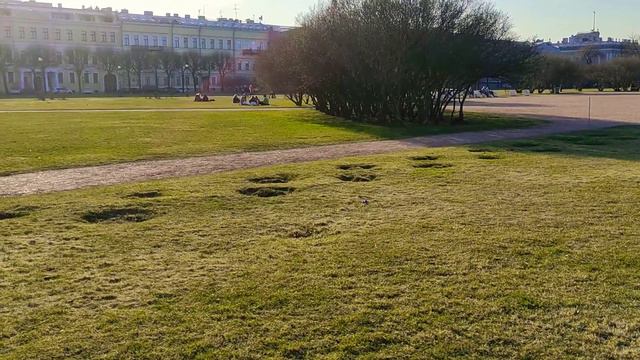Марсово поле, кто-то уже прилёг на травку хотя в городе по прежнему прохладно и чуть больше +10 смотреть онлайн