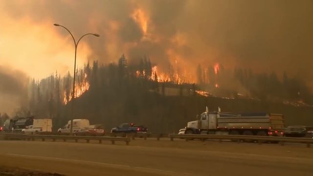 КАК отказ от МЯСА спасёт ПЛАНЕТУ смотреть онлайн