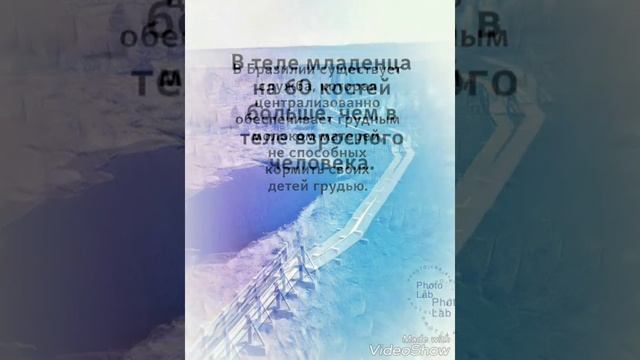 Интересные факты о детях смотреть онлайн