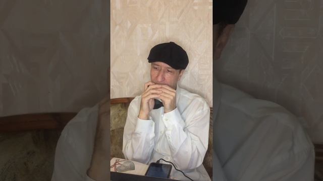 Your cheating heart - country cover #harmonica #music #cover #губнаягармошка #я смотреть онлайн