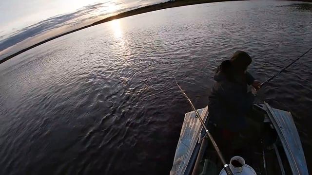 БЕШЕНЫЙ КЛЁВ ОКУНЯ В СЕНТЯБРЕ \ Часть 1 \ ТРОФЕЙНАЯ ЩУКА смотреть онлайн