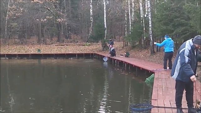 Работают приманки в рыже-зелёных тонах. Клёвое место, Лосиный остров, спорт-зона. смотреть онлайн
