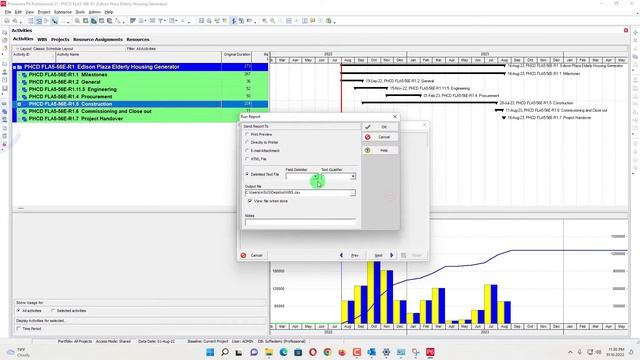 Create Detailed Manhour S-Curve from Primavera P6 to Excel | Manpower Stacked Histogram from P6 смотреть онлайн