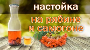 Настойка на рябине и самогоне