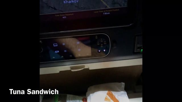 TRIP REPORT | Etihad A380 | Economy Class | Abu Dhabi - NewYork JFK смотреть онлайн