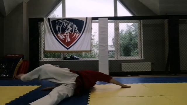 Джиу-Джитсу. Несколько подводящих упражнений к ударам ногами. смотреть онлайн