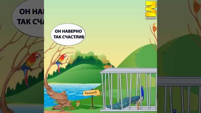 Быть благодарным за все, то что имеешь. Жить здесь и сейчас! смотреть онлайн