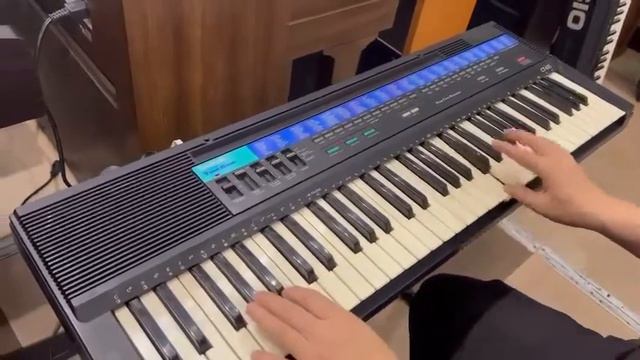 Đàn organ casio học sinh cho người mới tập giá rẻ смотреть онлайн