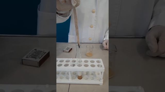 Обнаружение ферментов каталазы и пероксидазы в картофельном соке смотреть онлайн