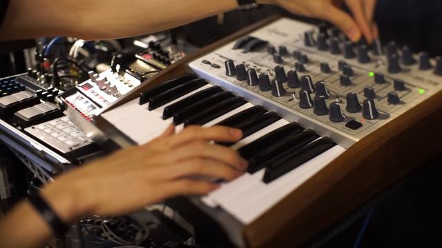 Deep Dark Dub (Minibrute, Volca Beats, Volca Bass, RE20 Space Echo) смотреть онлайн