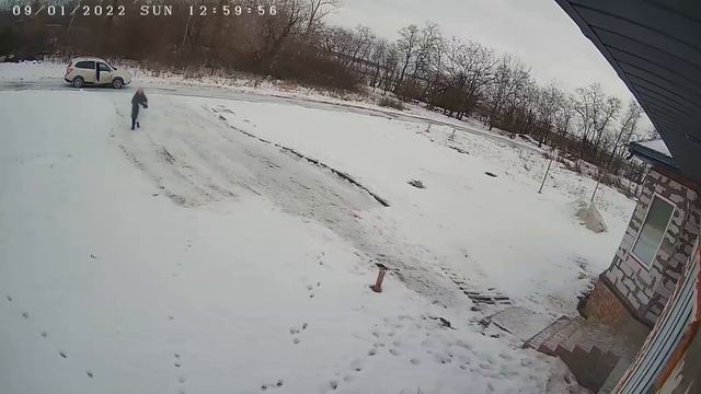 Выкинула щенков ? смотреть онлайн