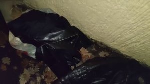 Что можно найти на мусорках Санкт-Петербурга? Находки на мусорке!