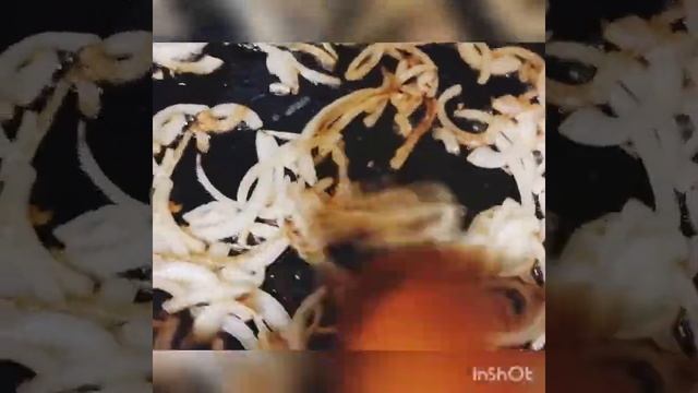 17 ноября 2020 г. смотреть онлайн