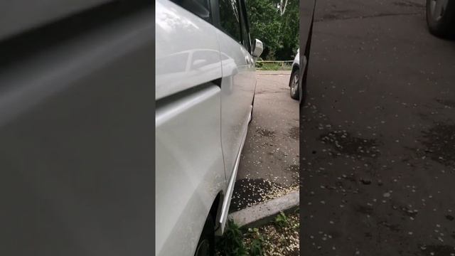 ПЕРЕГОН ФРИД СПАЙК