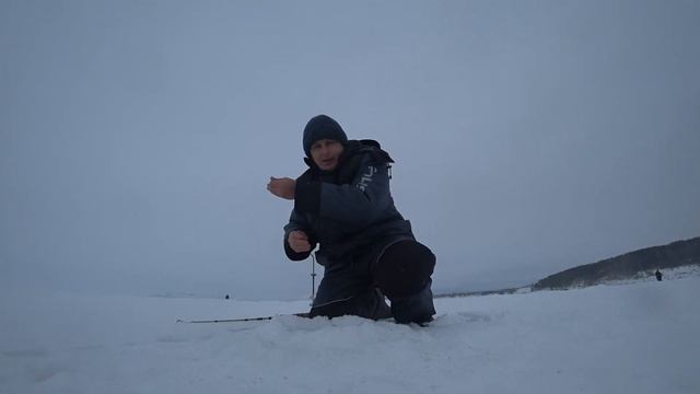 Берш .У кого какие снасти?