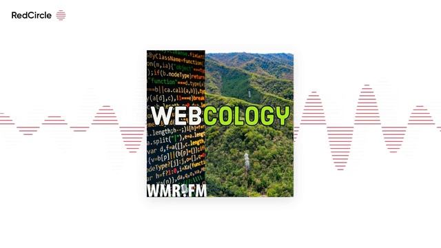 Webcology - The Industry's First AI-supported SEO Auditing tool смотреть онлайн
