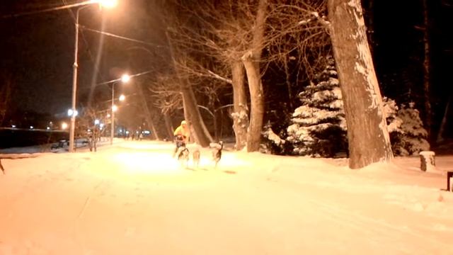 вечерняя тренировка по снегу 1 смотреть онлайн