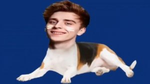 МЫШКА СОСИСКА И ЕЕ 20 ДРУЗЕЙ ЗА 80 СЕКУНД